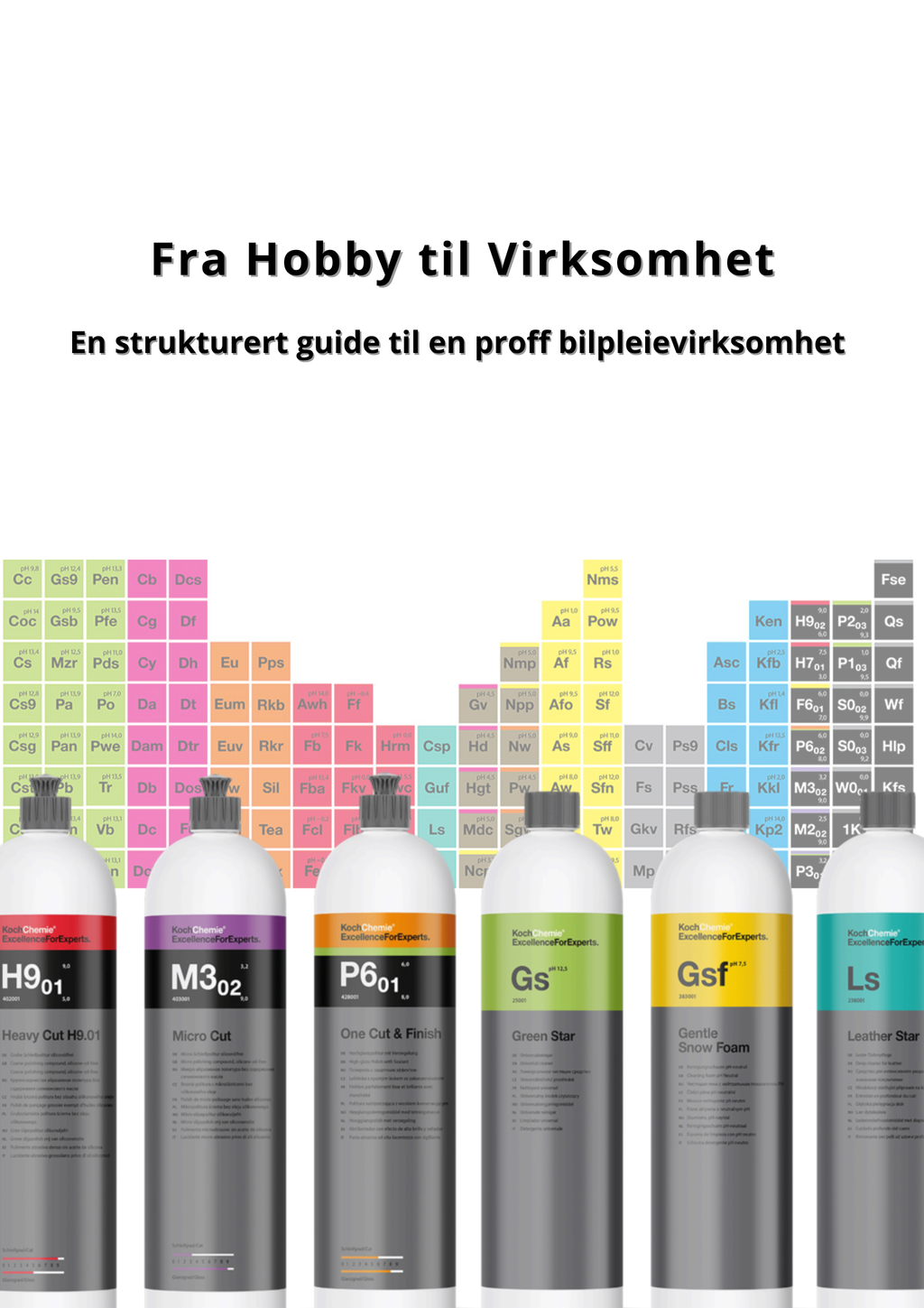 Guide - Fra hobby til virksomhet!